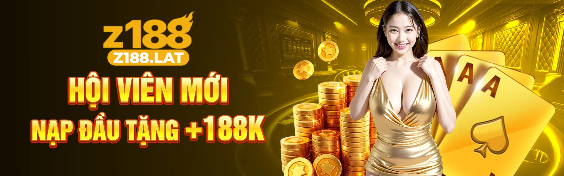 Banner Z188 2
