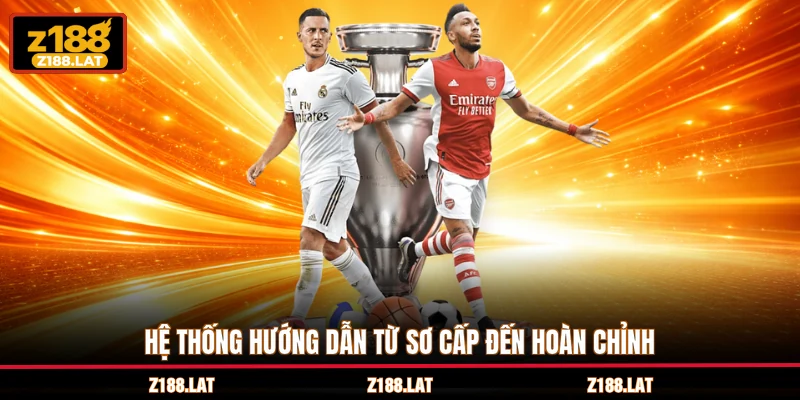 Hệ thống hướng dẫn từ sơ cấp đến hoàn chỉnh